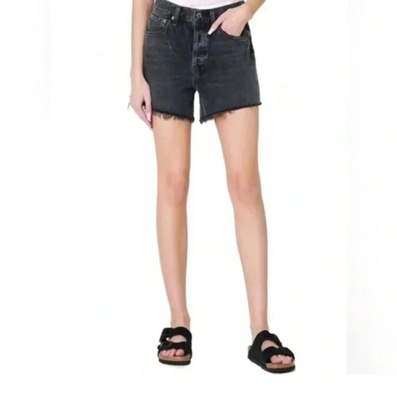 NWT Agolde Parker Loose Fit Vintage Long Short Chromatic...